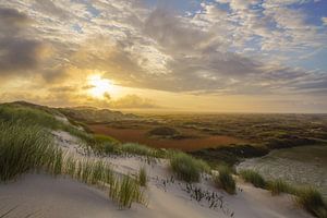 Le Boschplaat à Terschelling sur Dirk van Egmond