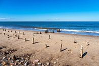 Buhnen an der Küste der Ostsee in Kühlungsborn von Rico Ködder Miniaturansicht