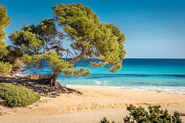 Strand Cala de s`Aguila, Cala Rajada, Mallorca