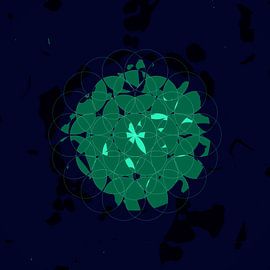 Fleur de vie — Motif génésique sur BVDART