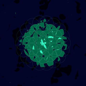 Blume des Lebens — Genesis-Muster von BVDART
