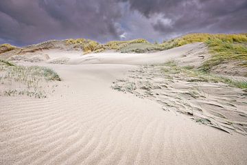 dunes along the Dutch coast in winter by eric van der eijk