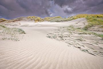 duin langs de Hollandse kust in de winter van eric van der eijk