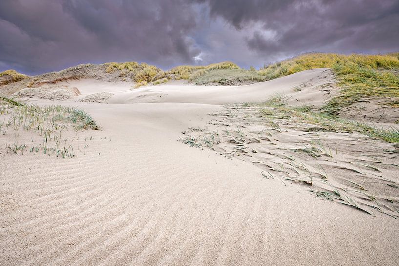 dunes along the Dutch coast in winter by eric van der eijk