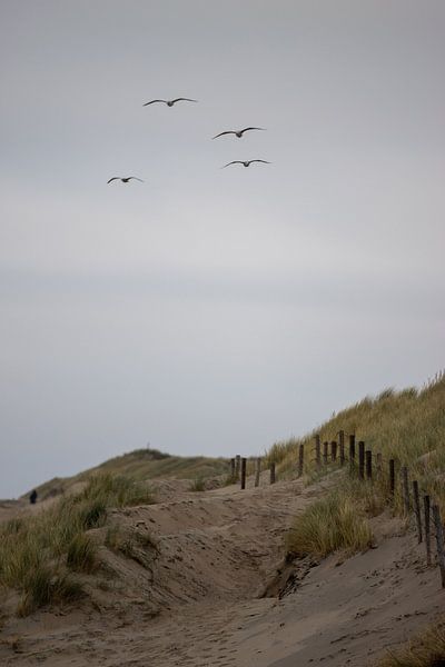 l'été est parti par Sebastian Stef
