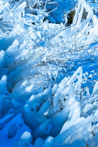 Natuurlijke Abstractie in  Ijsvormen