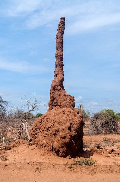 Ethiopië: Termietenheuvel (South Omo) by Maarten Verhees