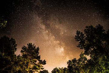 Milky Way through the trees by Annemarie Goudswaard