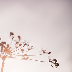 Natuur met zonsondergang 1 van Ratna Bosch