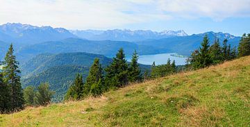 uitzicht vanaf de berg Hirschhornl op de Beierse Alpen van SusaZoom