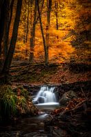 Een waterval van kleur: De Ninglinspo in de herfst