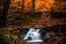 Waterval in een herfsttafereel van Alexander Mol