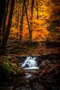 Een waterval van kleur: De Ninglinspo in de herfst van Alexander Mol thumbnail