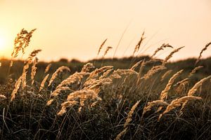 Zonsondergang aan de kust von Jack Swinkels