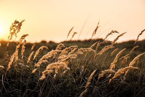 Zonsondergang aan de kust