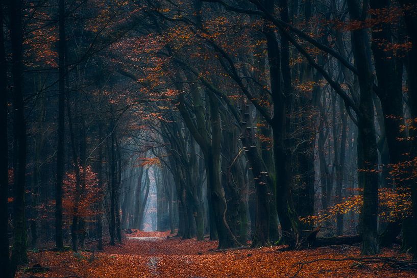 Kleuren van de herfst van Georgios Kossieris