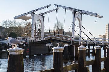 Rembrandt bridge in Leiden by QEIMOY