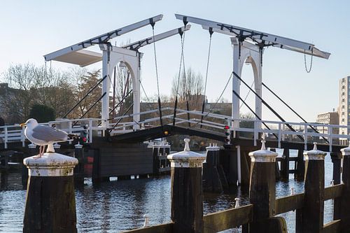 Rembrandt bridge in Leiden