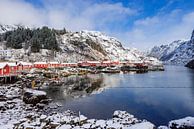 Typical fishermen's cottages on wooden poles on Norway's Lofoten Islands by gaps photography thumbnail