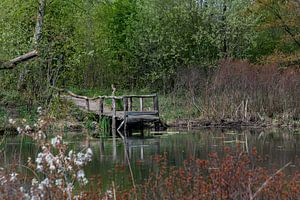 Holzbrücke