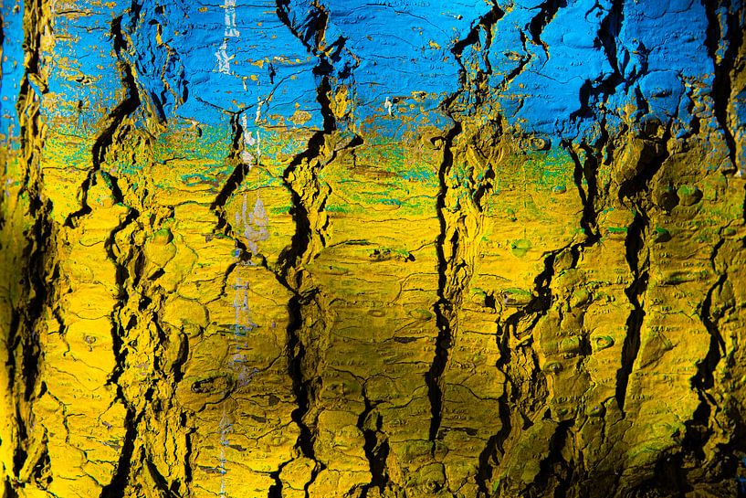 Baum von Tim Kunst en Fotografie