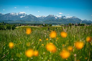 Bloemrijk uitzicht op de Oost Allgäuer Alpen van Leo Schindzielorz