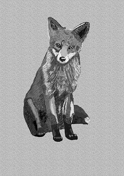 Fox ce qui est assis regarder sur DigitalArtForYou