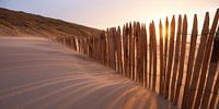 windbreker op strand van Arjan van Duijvenboden thumbnail