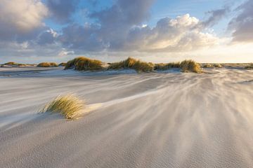 Dynamiek op strand Ameland van Anja Brouwer Fotografie