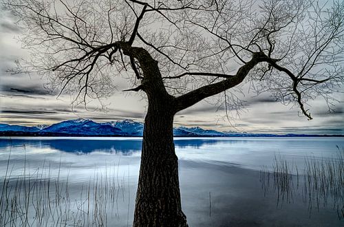 blue Mountain II