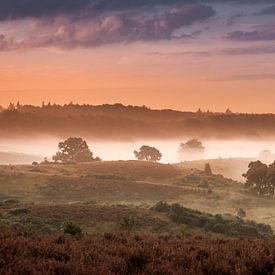 Landschaft im Nebel von Alexander Cox