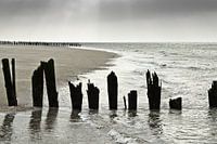 Auferstanden aus dem Wasser