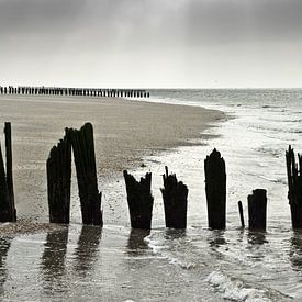 Auferstanden aus dem Wasser von Ingrid Wilson