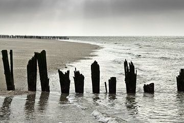 Auferstanden aus dem Wasser von Ingrid Wilson