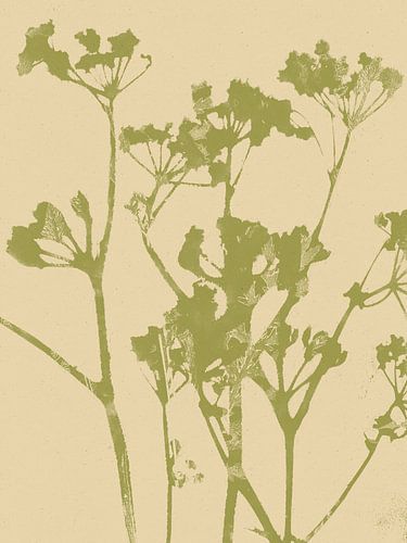 Moderne botanische kunst in groen en wit.