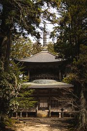 Temple dans la forêt, Japon sur Erik de Witte