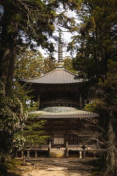 Tempel in het bos, Japan van Erik de Witte