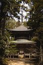 Tempel in het bos, Japan van Erik de Witte thumbnail