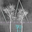 TREES I  by Pia Schneider thumbnail
