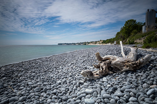 Stenvs Klint, Dänemark