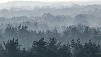 shrouded in fog by Arnoud van der Aart thumbnail