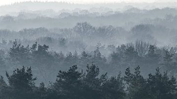 enveloppé dans le brouillard sur Arnoud van der Aart