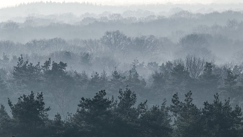 shrouded in fog by Arnoud van der Aart