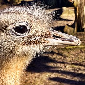 Hello! by Truckpowerr