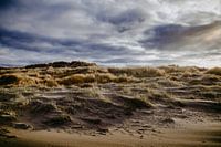 Seascapes 2.0 XX