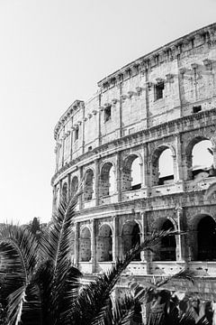 Colosseum Rome van Suzanne Spijkers