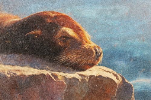 Zeeleeuw in Zonlicht