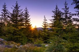 Brockenblick sur Steffen Henze