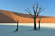 Sossusvlei by luc Utens thumbnail
