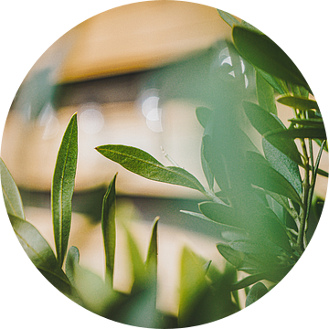 Voorjaarsgroen in de tuin